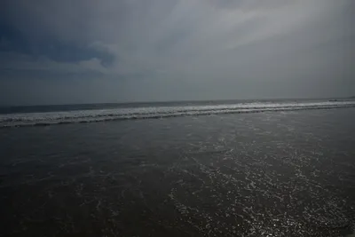 DSC_2242 (Large).JPG